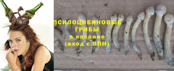 COCAINE Абаза
