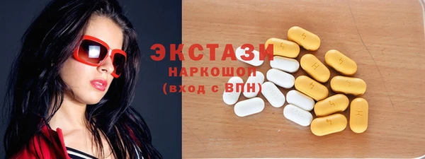 СК Алексин