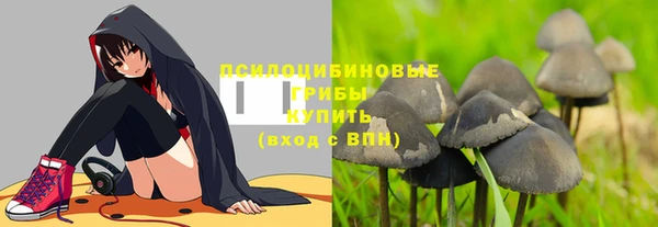 СК Алексин