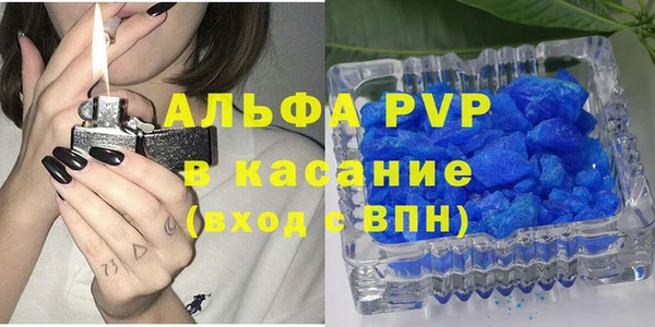 СК Алексин