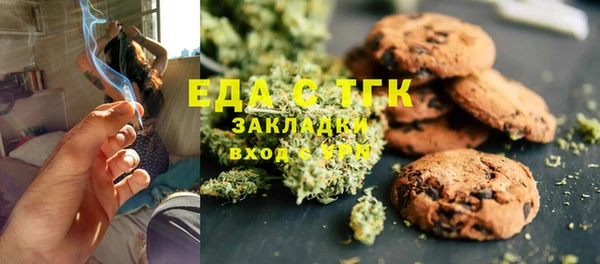 СК Алексин