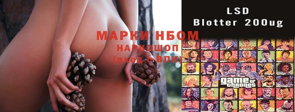 твердый Аркадак